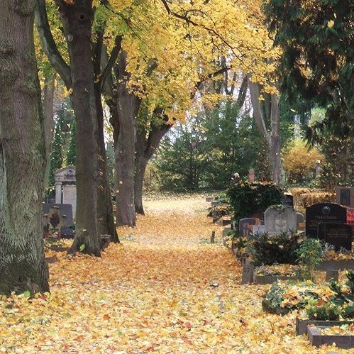 Weg auf Friedhof im Herbst mit gelbem Laub bedeckt