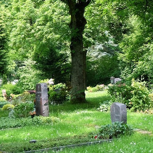 Einzelne Grabstelle unter einem Baum auf einer Rasenfläche